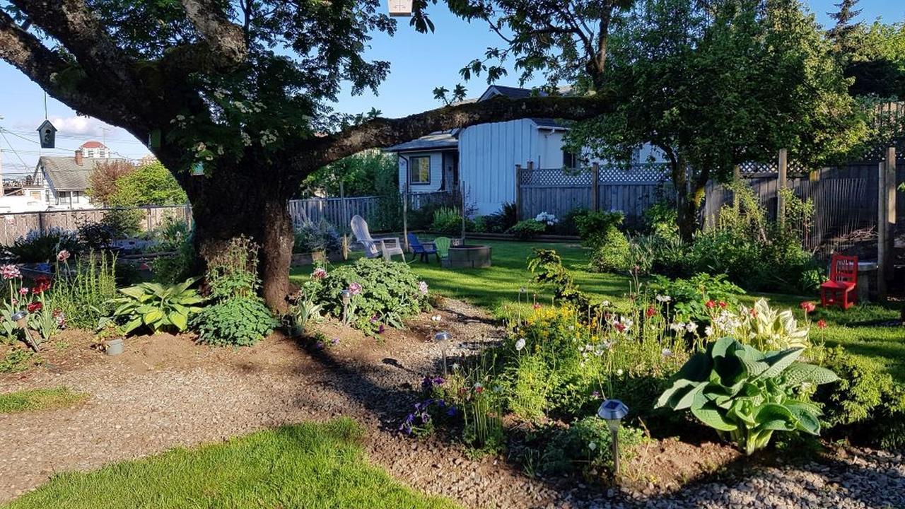 Campbell Cottage B&B Nanaimo Ngoại thất bức ảnh